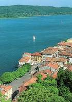 Arona