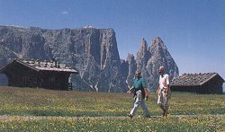 Alpe di Siusi (Seiser Alm)