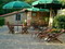 Il Frantoio di Cannoreto, Bed and Breakfast - Versilia and Pietrasanta, Italy - Photo 5