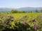 Hotel Clodia - Sirmione, Lake Garda, Italy - Photo 5