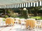 Gemma del Mare  - Versilia and Pietrasanta, Italy - Photo 4