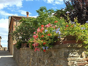 La Paterna di Rigomagno - Sinalunga , Italy