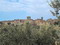La Paterna di Rigomagno - Sinalunga , Italy - Photo 5