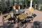 Residenza Aurora - Saturnia, Italy - Photo 4